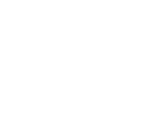 silver_logo